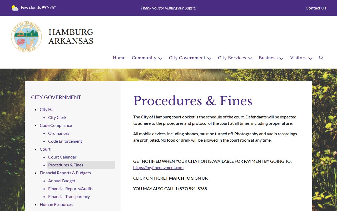 Ashley County traffic court records and Hamburg docket procedures